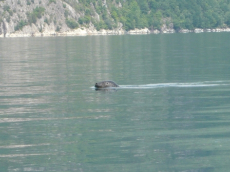 2010-06-28 2010-06-Norwegen 016