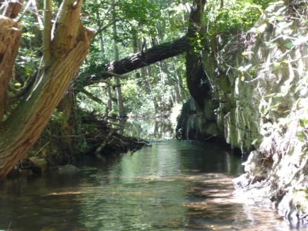 2011-06-29 2011-06-26-Templin 008