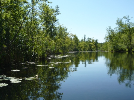 2011-06-29 2011-06-26-Templin 012