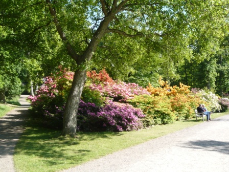 2013-06Schweden (13)