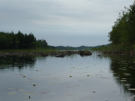 2013-06Schweden (275)