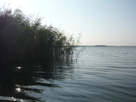 BornerBuelten 1 (17)