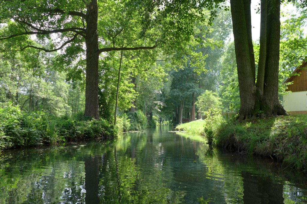 Spreewald (30)